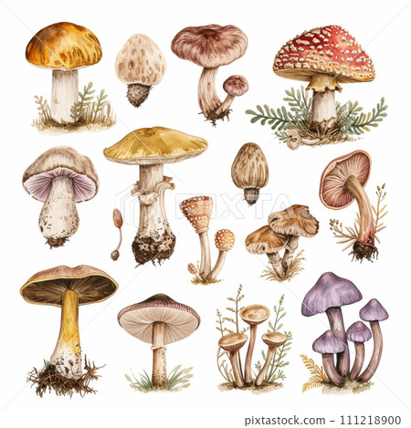 [AI generated image/AI illustration] Seamless pattern of various mushrooms 111218900