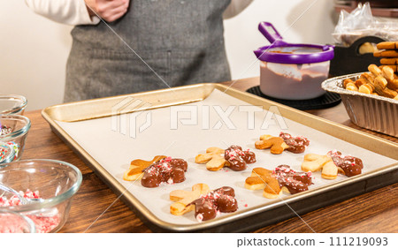 Preparing star-shaped cookies, half-dipped in chocolate, accented with peppermint chocolate chips for the holidays. 111219093