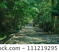 A Japanese path with refreshing greenery 111219295