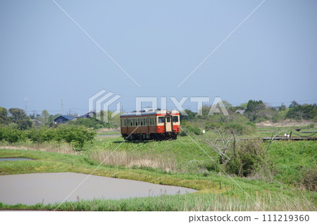 Isumi Railway Kiha 52 tank and rice fields 111219360