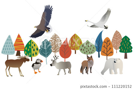 北歐森林和動物插畫 111220152