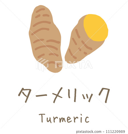 Turmeric illustration 111220989