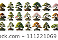 Japanese bonsai collection 111221069