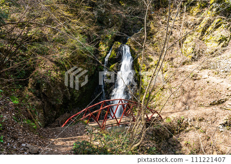 [Japan's Top 100 Waterfalls] Tentaki, Spring Tsuzumigataki Falls and Red Bridge 1, Yabu City, Hyogo Prefecture 111221407