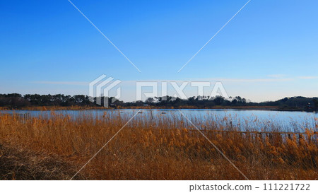 韃靼沼是一個陽光明媚的秋日，冬天即將來臨。 111221722