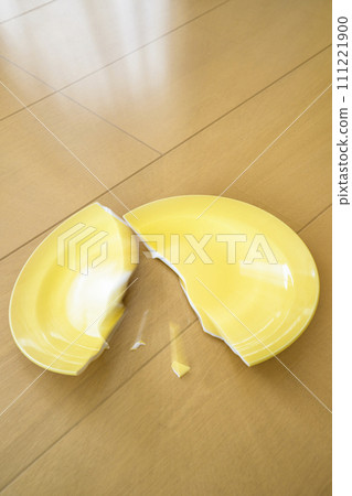 Broken dish Broken dish 111221900