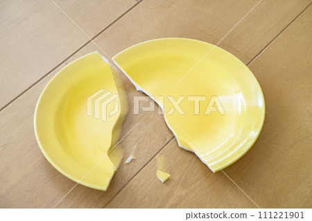 Broken dish Broken dish 111221901