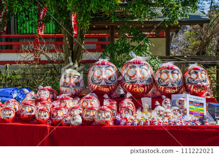 東京日野市高畠不動尊金剛寺2月3日節祭達摩市場 111222021