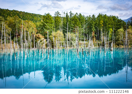 Hokkaido Blue Pond Hokkaido Blue Pond 111222146