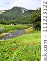 Anegawa red spider lily and Mt. Ibuki in autumn 111223122