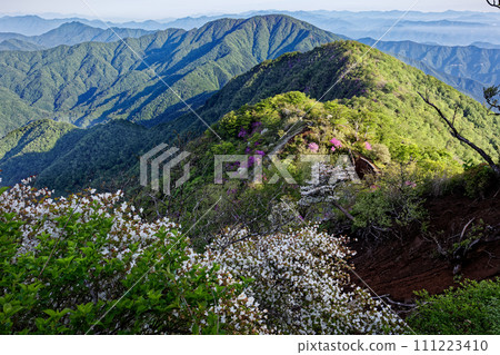 View of fresh greenery and azalea ridges and Mt. Omuro from Hidomaru in the Tanzawa Mountains View of fresh greenery and azalea ridges and Mt. Omuro from Hidomaru in the Tanzawa Mountains 111223410