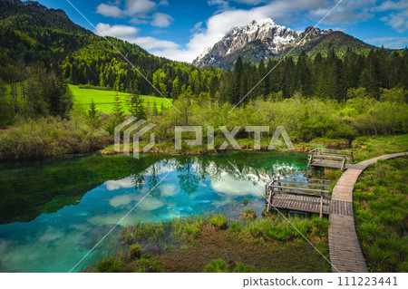 Wooden pathway near lake Zelenci, Kranjska Gora, Slovenia 111223441
