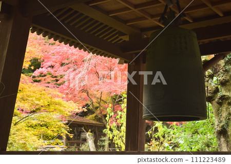 Tochigi Ashikaga Gyodozan Joinji Temple autumn leaves 111223489