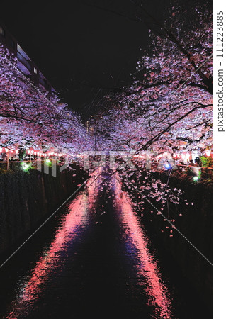 At night the cherry blossoms river 111223885