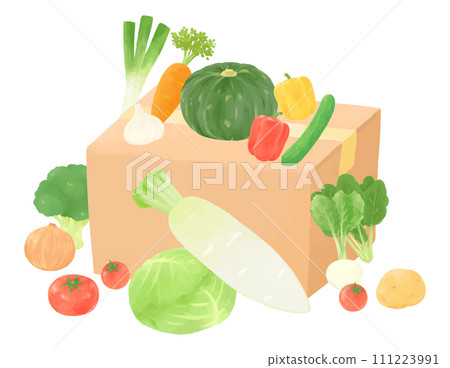 Hand-drawn style illustration of various vegetables and cardboard boxes 111223991