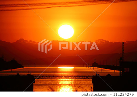 荒尾市少女公民花壇玫瑰花， 111224279