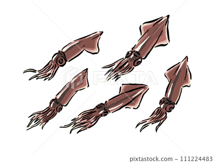 螢火魷插畫素材(生螢火魷) 螢火魷插畫素材(生螢火魷) 111224483