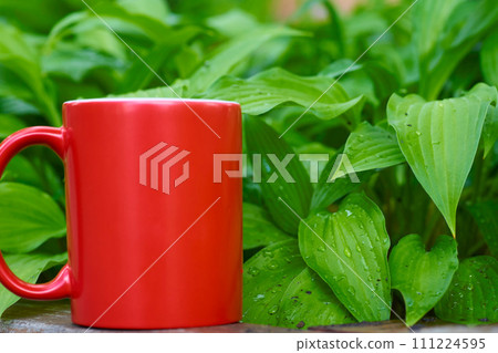 Red cup for beverage in a greenhouse with space for text Red cup for beverage in a greenhouse with space for text 111224595
