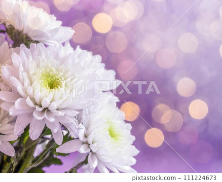 White chrysanthemum bouquet with copy space (AI generated image) 111224673