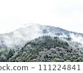 mountain with fog 111224841