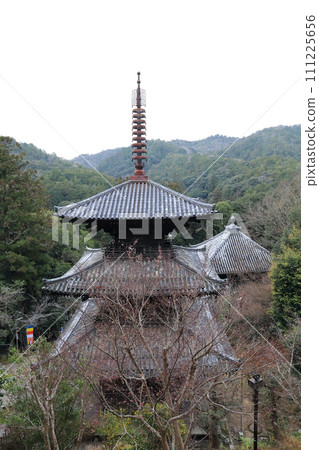 Hokkesan Ichijoji Temple Three-storied Pagoda (Kasai City, Hyogo Prefecture) 111225656