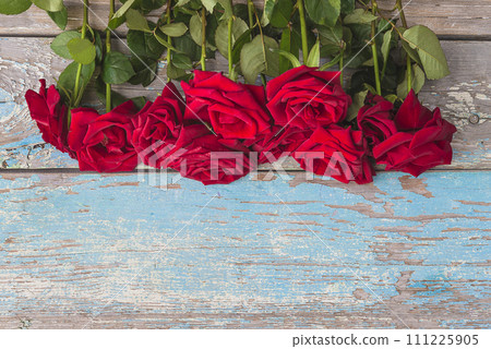 Holiday or celebration background; Bunch of red roses on a old blue paint wooden background; Holiday or celebration background; Bunch of red roses on a old blue paint wooden background; 111225905