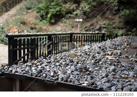 法華山一乘寺開山堂（兵庫縣開西市） 111226105