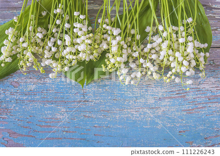 Happy May Day greeting card template; frame of lilies of the valley on a blu paint wooden background; Happy May Day greeting card template; frame of lilies of the valley on a blu paint wooden background; 111226243