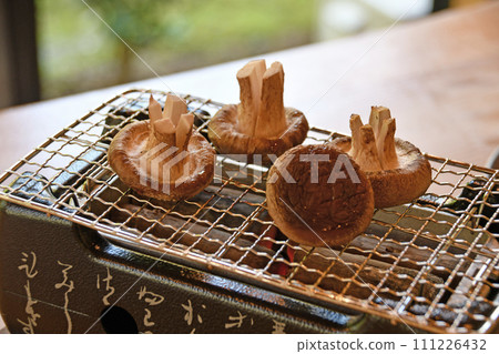 Freshly harvested shiitake mushrooms grilled over Binchotan charcoal Freshly harvested shiitake mushrooms grilled over Binchotan charcoal 111226432