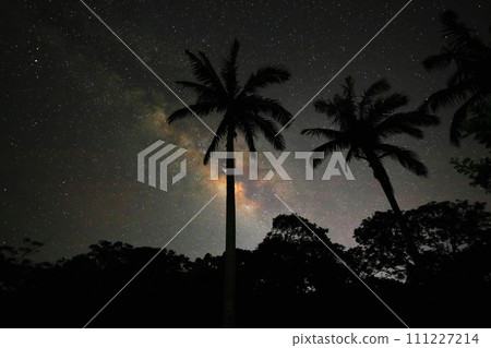 Okinawa's starry sky Okinawa's starry sky 111227214