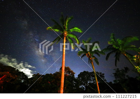Okinawa's starry sky Okinawa's starry sky 111227215