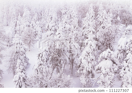 從索道上看到的霜田風景 藏王溫泉滑雪場【山形縣】 111227307
