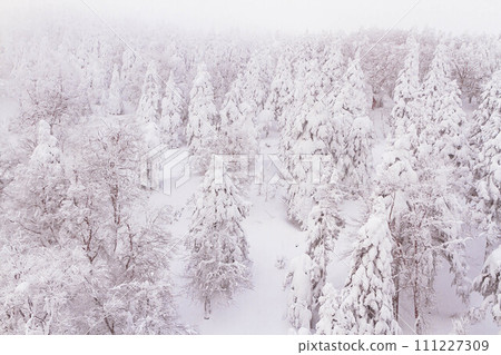 從索道上看到的霜田風景 藏王溫泉滑雪場【山形縣】 111227309