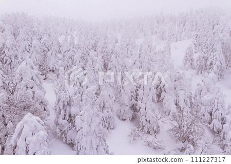 從索道上看到的霜田風景 藏王溫泉滑雪場【山形縣】 從索道上看到的霜田風景 藏王溫泉滑雪場【山形縣】 111227317