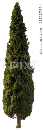 單木鏤空材料(柏木) 單木鏤空材料(柏木) 111227464