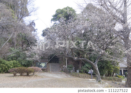 Winter at Shomyoji Temple, a temple associated with the Hojo clan located near Kanazawa Hakkei in Yokohama City, Kanagawa Prefecture Winter at Shomyoji Temple, a temple associated with the Hojo clan located near Kanazawa Hakkei in Yokohama City, Kanagawa Prefecture 111227522