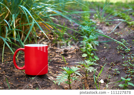 Spring green beds in the vegetable garden,red mug Spring green beds in the vegetable garden,red mug 111227878