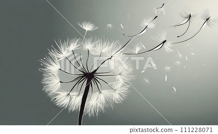 蒲公英在風中起毛 111228071