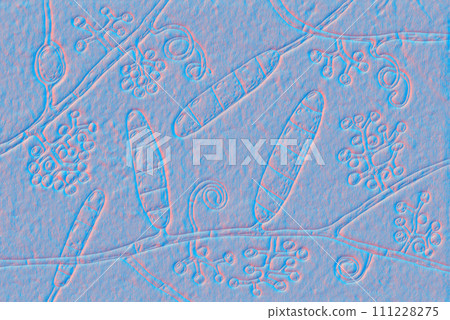 Fungi Trichophyton mentagrophytes, 3D illustration Fungi Trichophyton mentagrophytes, 3D illustration 111228275