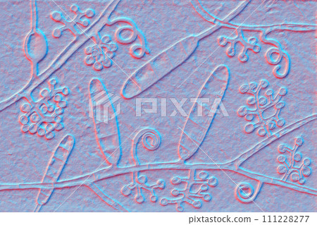 Fungi Trichophyton mentagrophytes, 3D illustration Fungi Trichophyton mentagrophytes, 3D illustration 111228277