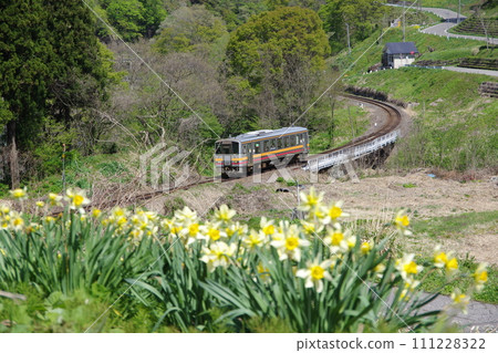 Oito Line Kiha 120 and Narcissus Oito Line Kiha 120 and Narcissus 111228322
