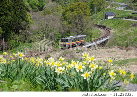 Oito Line Kiha 120 and Narcissus Oito Line Kiha 120 and Narcissus 111228323