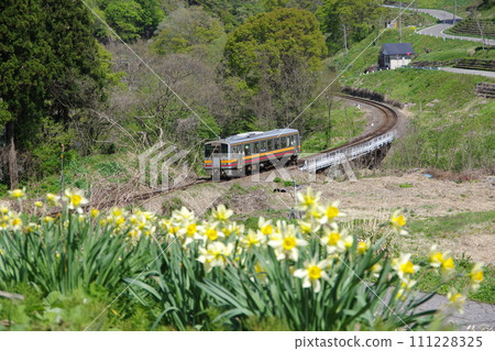 Oito Line Kiha 120 and Narcissus Oito Line Kiha 120 and Narcissus 111228325