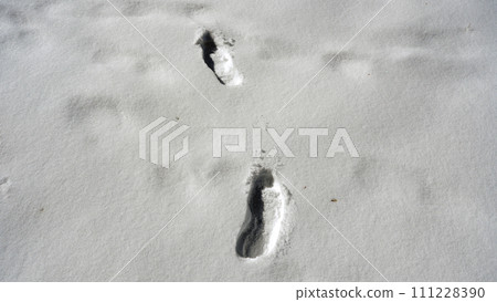 Footprint of snow Footprint of snow 111228390