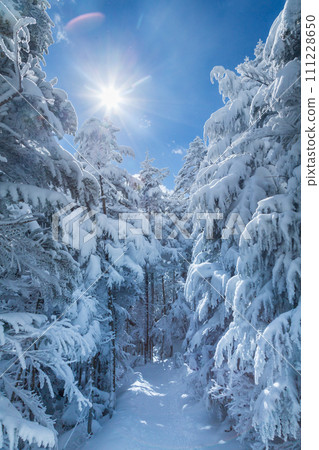 八嶽山脈 北小岳 雪地徒步 八嶽山脈 北小岳 雪地徒步 111228650
