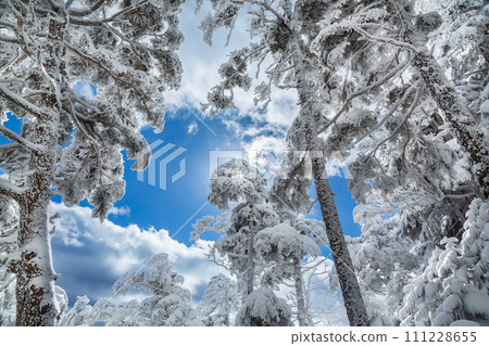 Yatsugatake Mountain Range Kitayokodake Snow Hike 111228655