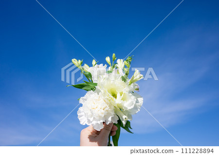插花 111228894