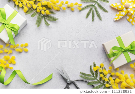 Mimosa branch and gift boxes on gray concrete background. Mimosa branch and gift boxes on gray concrete background. 111228921