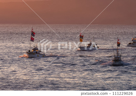 [Shizuoka Prefecture] New Year's Sea Parade to pray for a big catch at Tagonoura Port on the first sunrise of the year 111229026