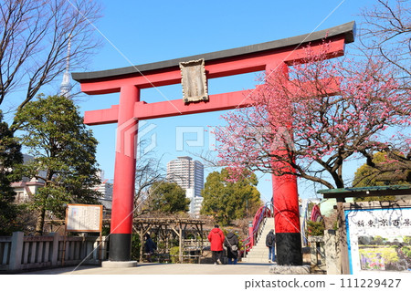 龜戶天神社的梅花祭:鳥居和紅梅 東京都江東區龜戶市龜戶天滿宮 龜戶天神社的梅花祭:鳥居和紅梅 東京都江東區龜戶市龜戶天滿宮 111229427
